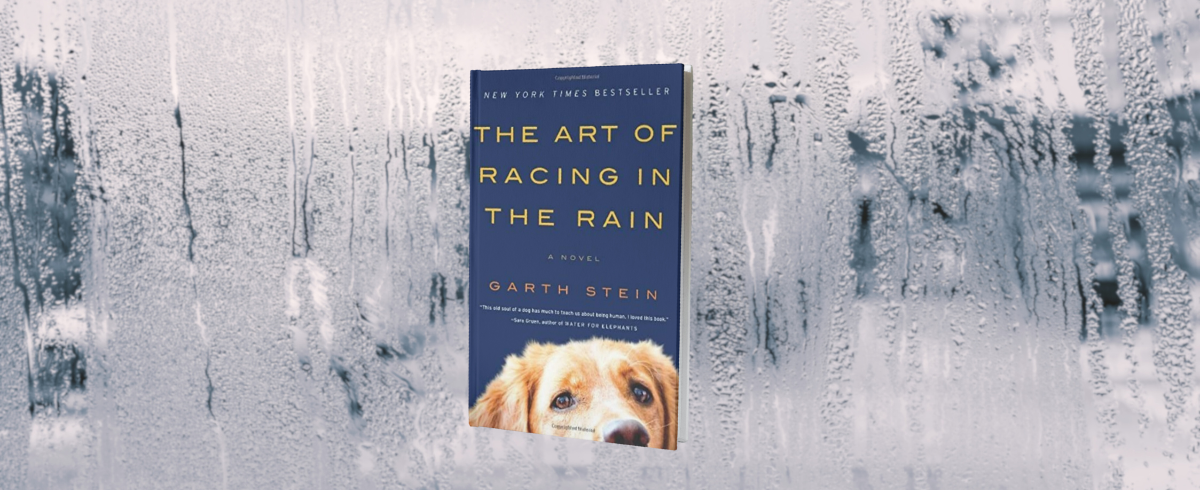 The Art of Racing in the Rain is a must read for all dog owners!